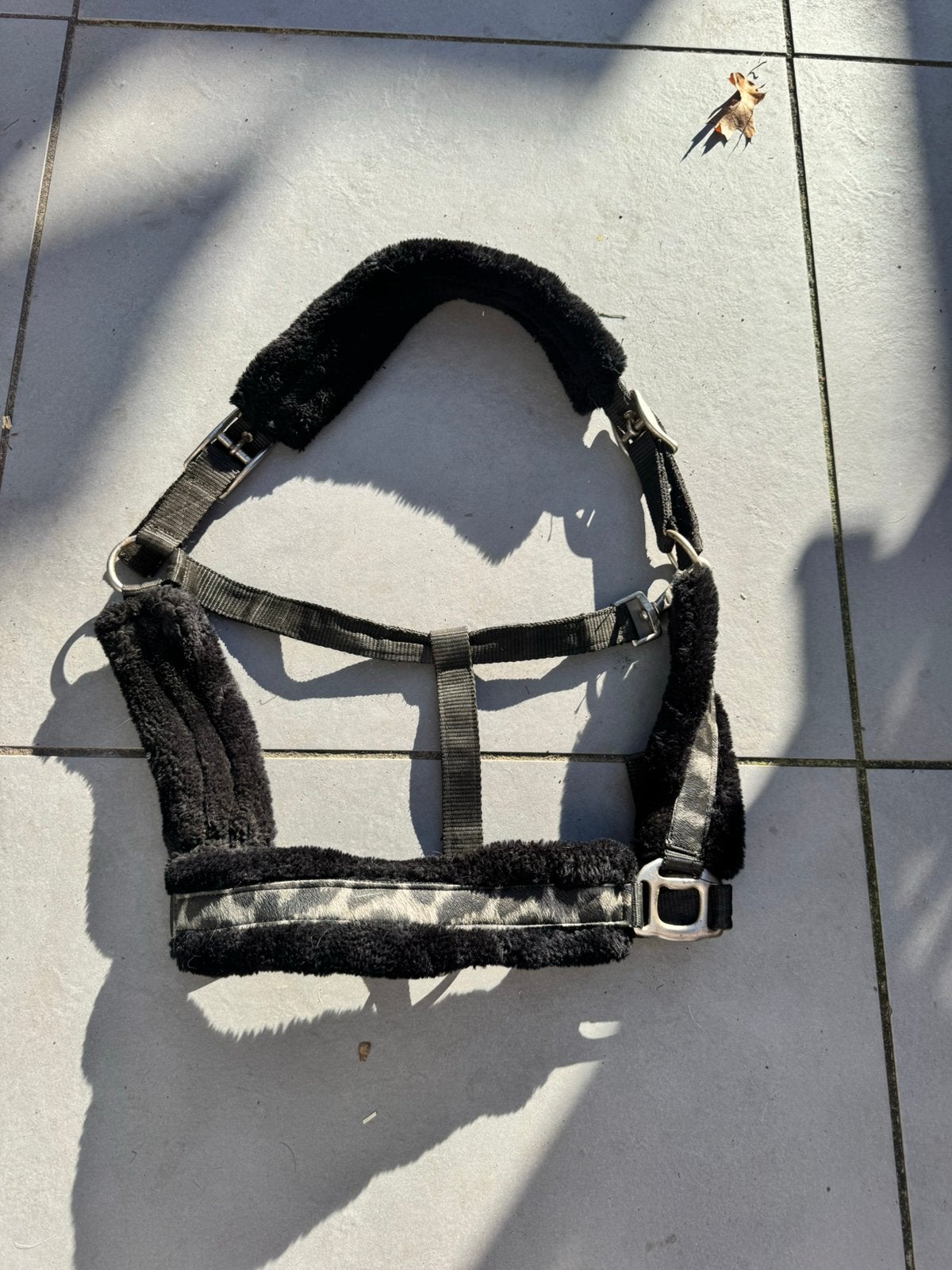Horsegear halster full, Overige disciplines, Ophalen of Verzenden, Halster, Horsegear
