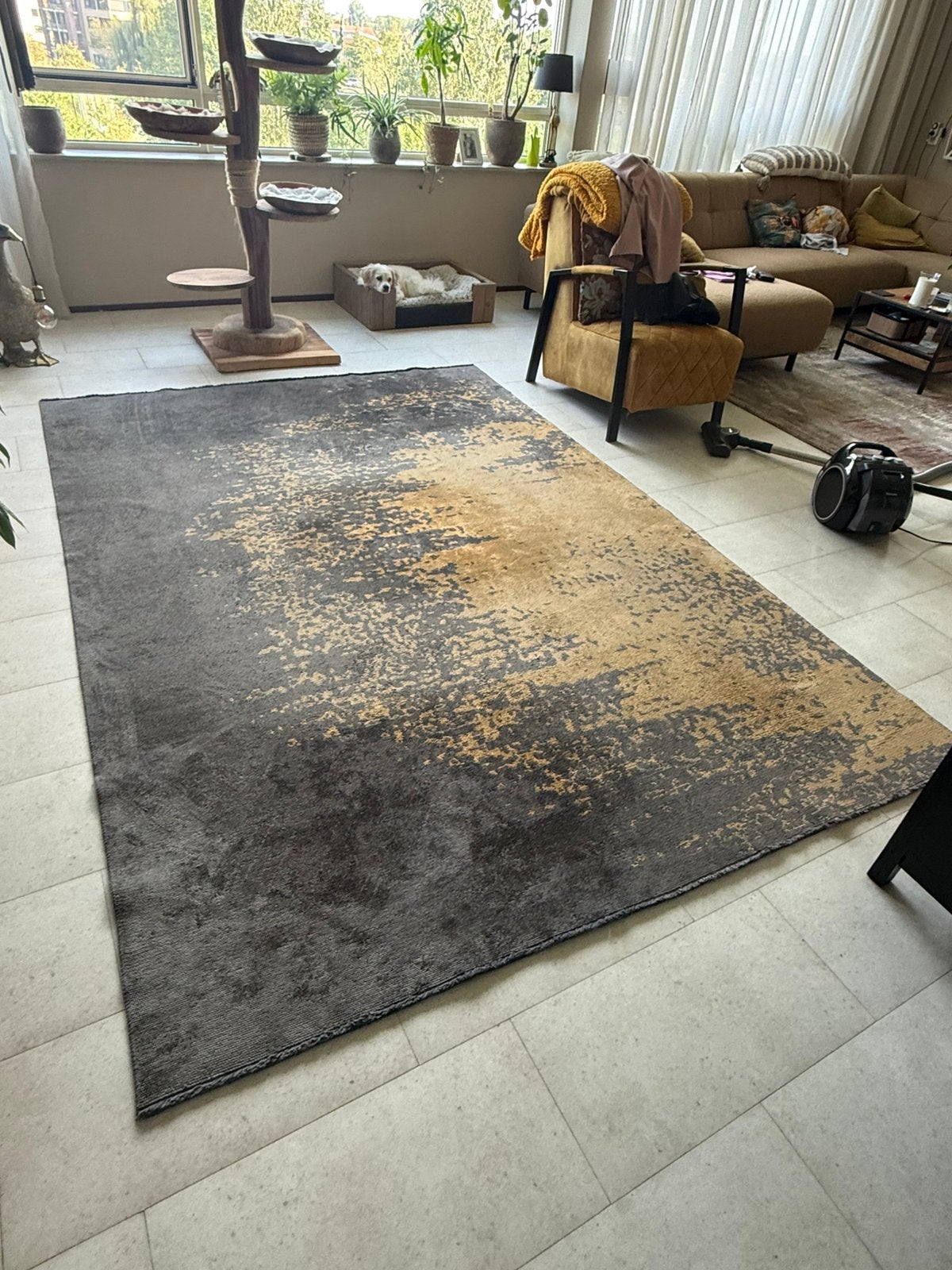 Foto 4 van Mooi vloerkleed 200X290 cm