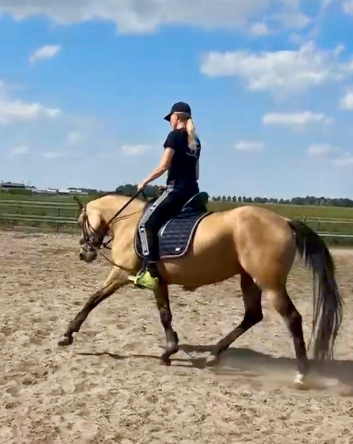 Te koop schitterende Welsh merrie met hengstveulen, Merrie, Met stamboom, Dressuurpony, 3 tot 6 jaar
