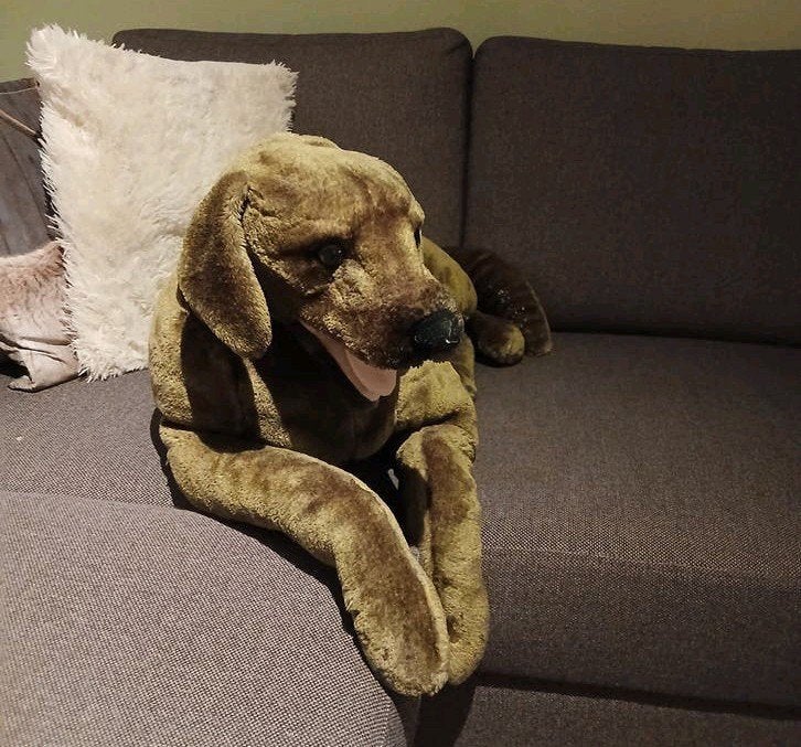 pluche labrador, Ophalen, Overige typen