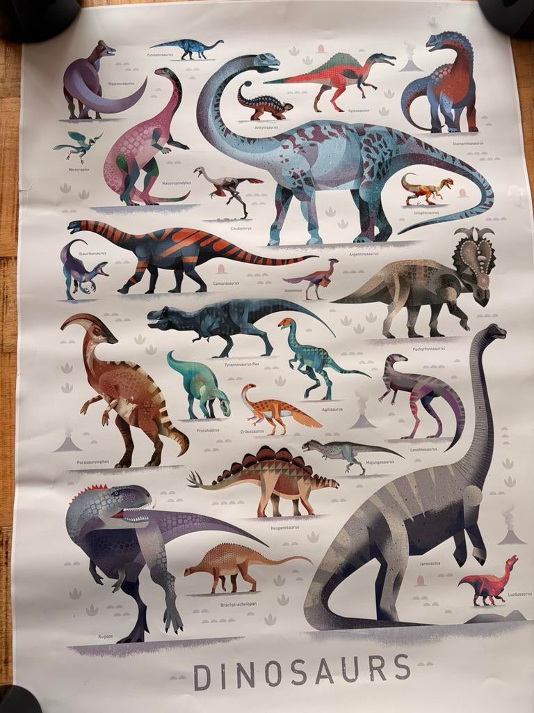 Dinoposter Dieter braun., Ophalen of Verzenden, Zo goed als nieuw