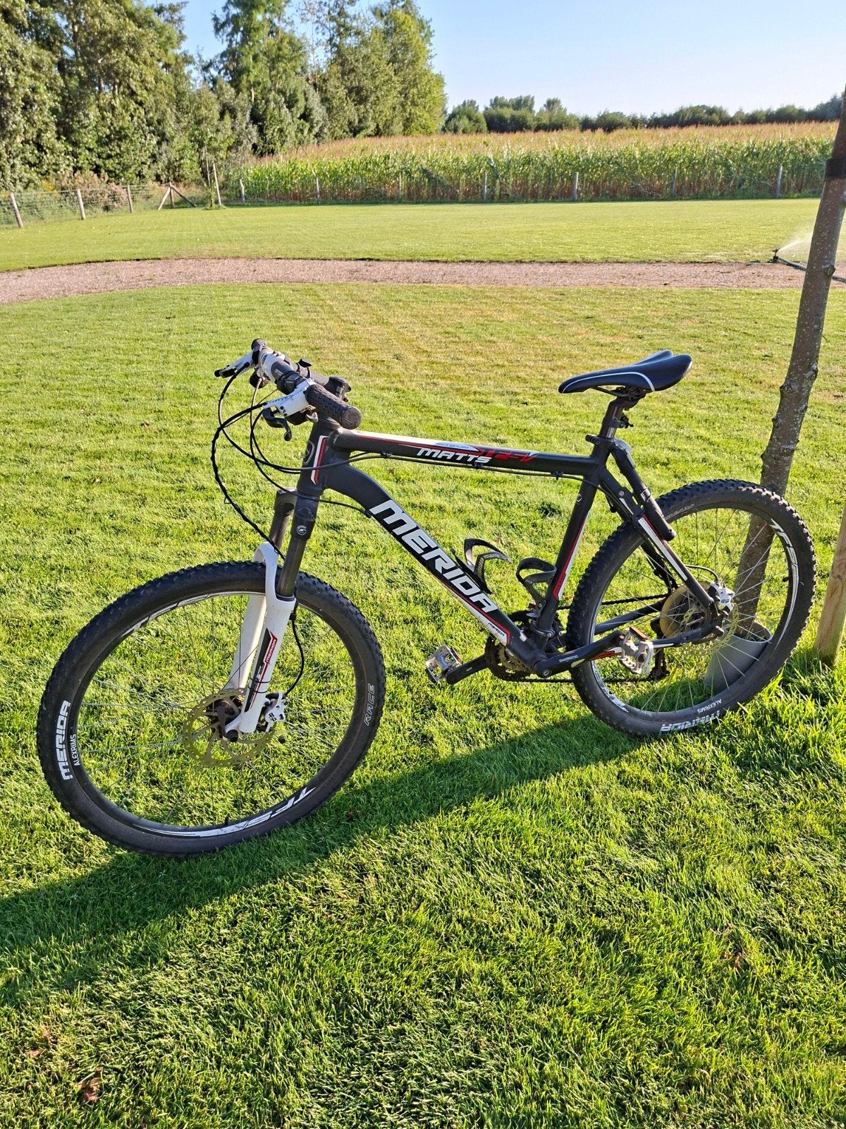 Merida Matts Mountainbike, Ophalen, Hardtail, Heren, Merida