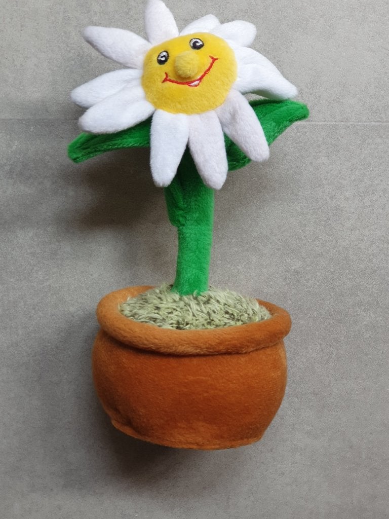 Dansende en zingende witte bloem op batterijen, Ophalen of Verzenden, Gebruikt, Jongen of Meisje