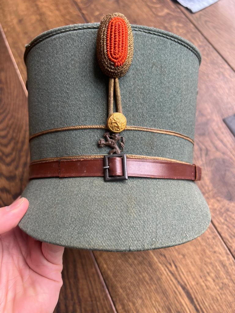 Nederlands mobilisatie kepie officier algemene dienst, Verzenden, Nederland, Embleem of Badge