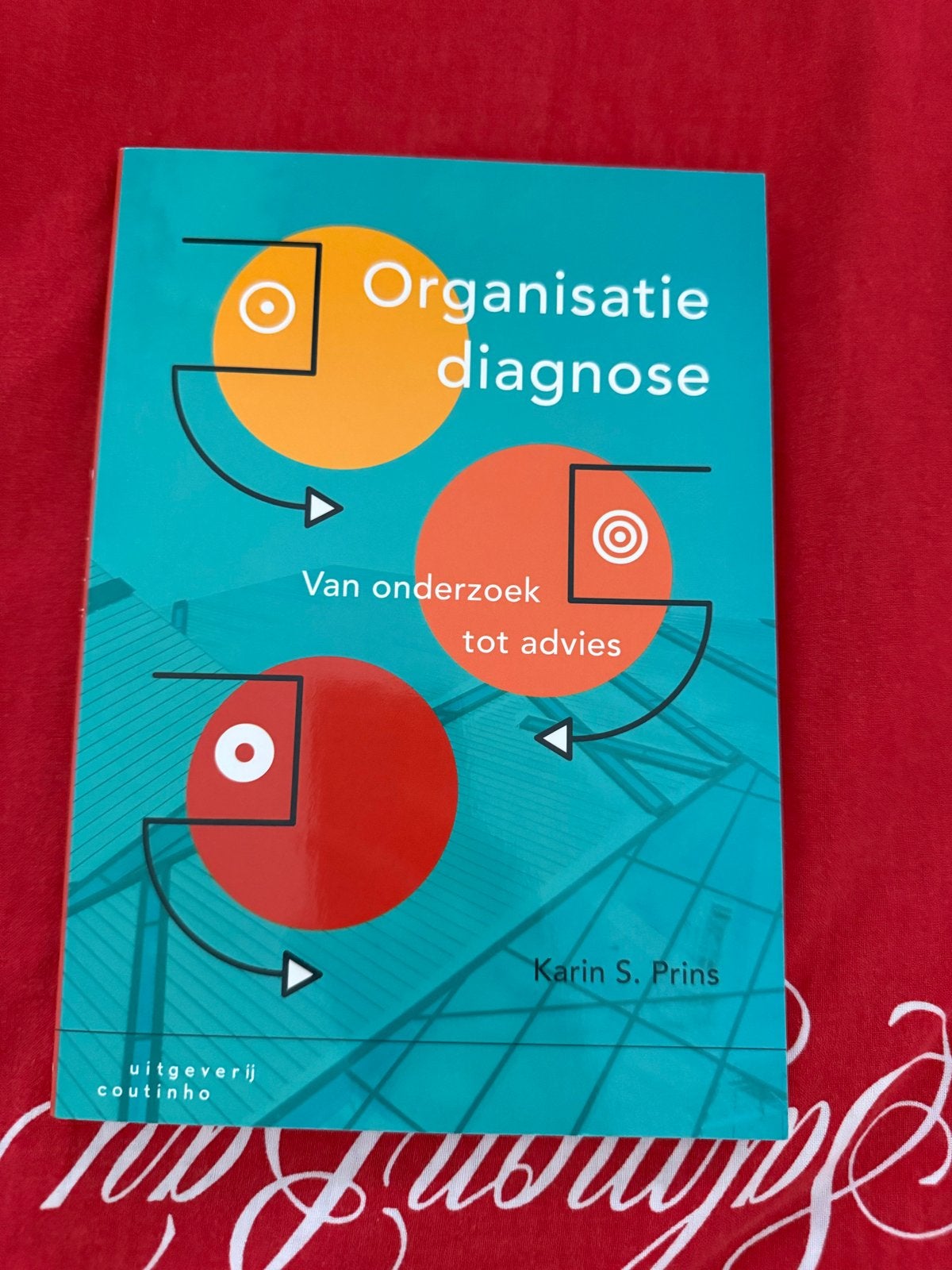 Organisatiediagnose: Van onderzoek tot advies - Karin S. Pri, Boeken, Ophalen of Verzenden, Nieuw
