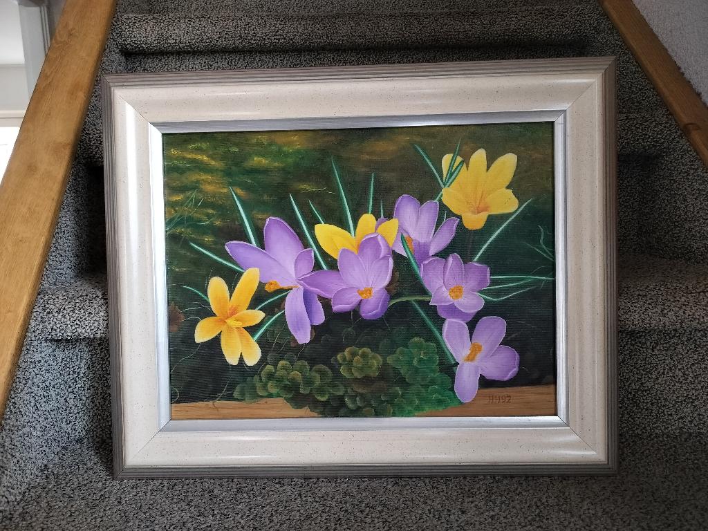 Schilderij krokussen, Ophalen