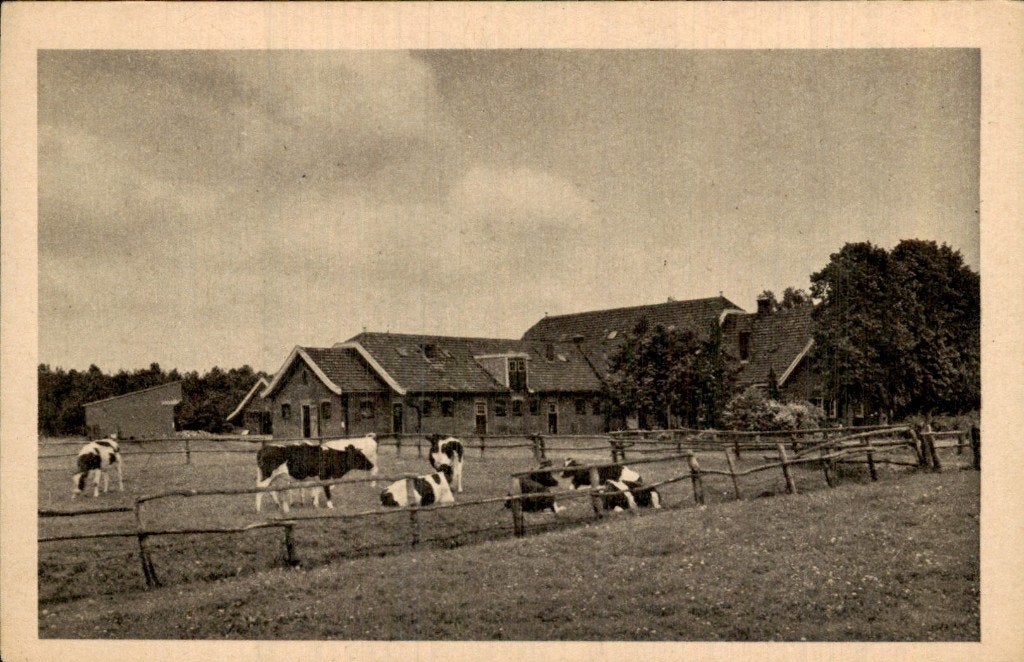 Valkenheide - Boerderij - Koeien, Ophalen of Verzenden, 1920 tot 1940, Ongelopen, Drenthe