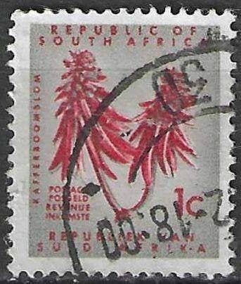 Zuid-Afrika 1961/1962 - Yvert 249 - Kafferboombloem (ST), Verzenden, Zuid-Afrika, Gestempeld