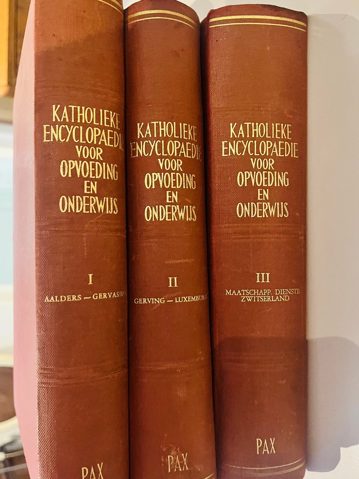 KATHOLIEKE ENCYCLOPEDIE VOOR OPVOEDING EN ONDERWIJS, Boeken, Ophalen, Complete serie, Zo goed als nieuw, Overige onderwerpen
