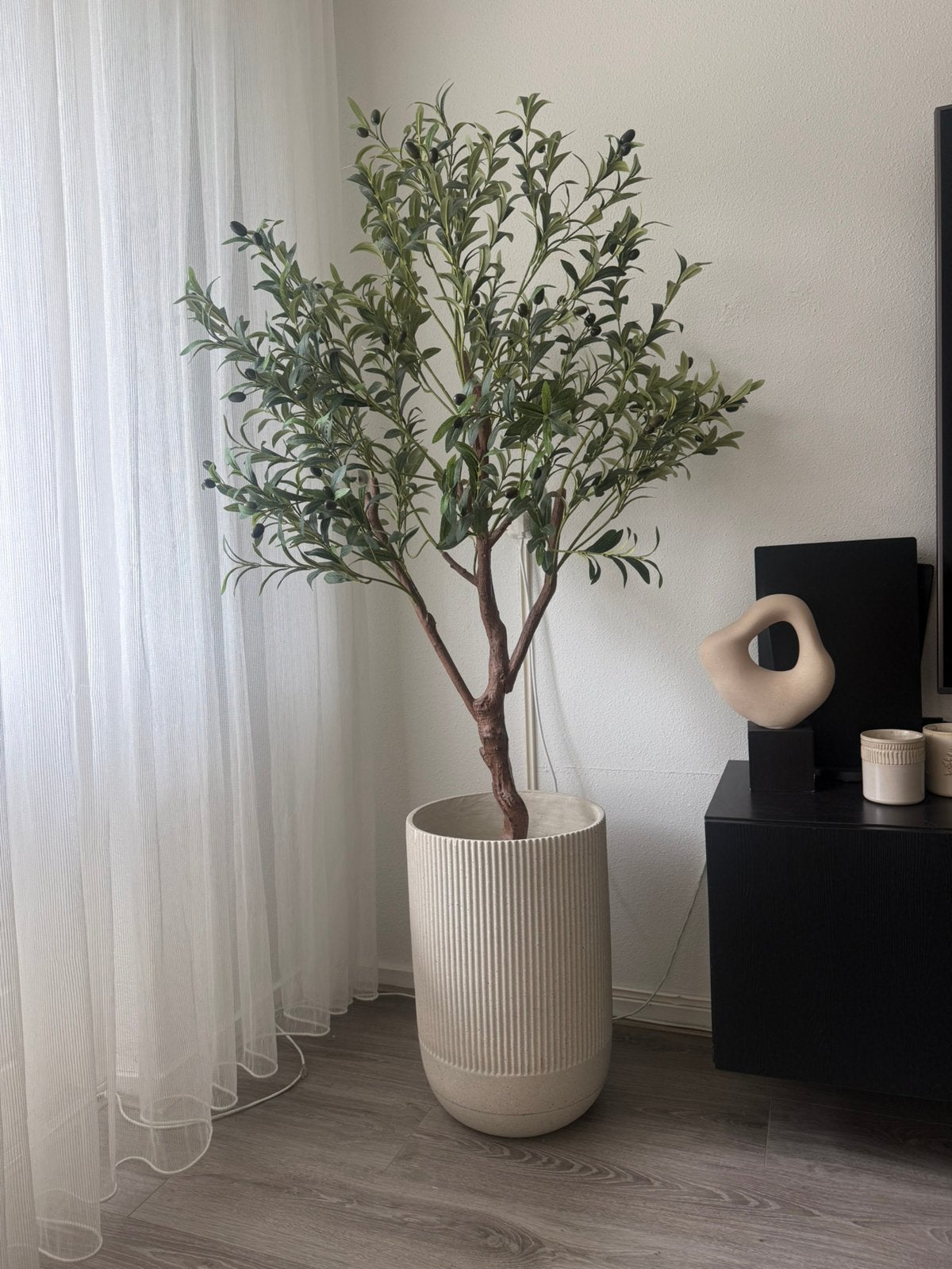 Bloempot dijon met grote olijfplant 150 cm, Ophalen of Verzenden, Zo goed als nieuw