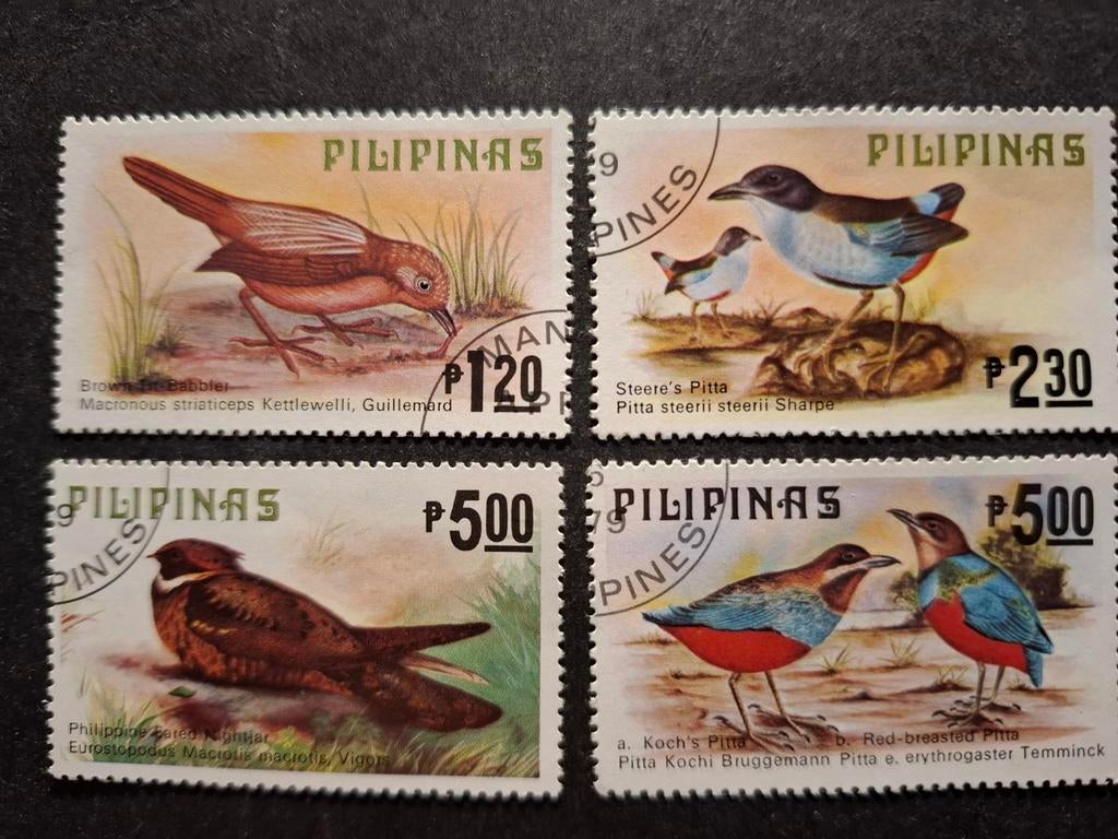 Pilipinas vogels, Ophalen of Verzenden, Dier of Natuur