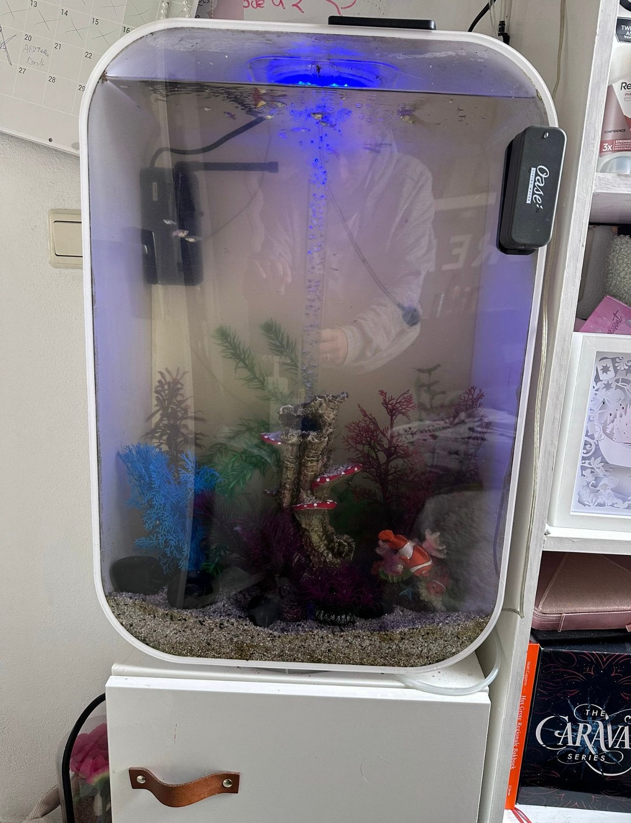 Biorb 60, Dieren en Toebehoren, Overige typen