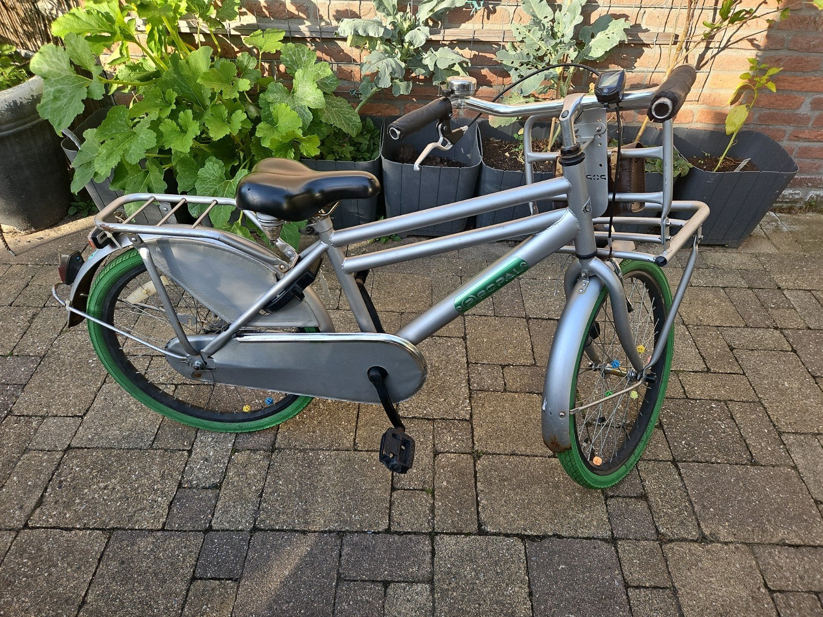 Popal fiets 22 inch met voordrager, Ophalen, Gebruikt, 22 inch, Popal