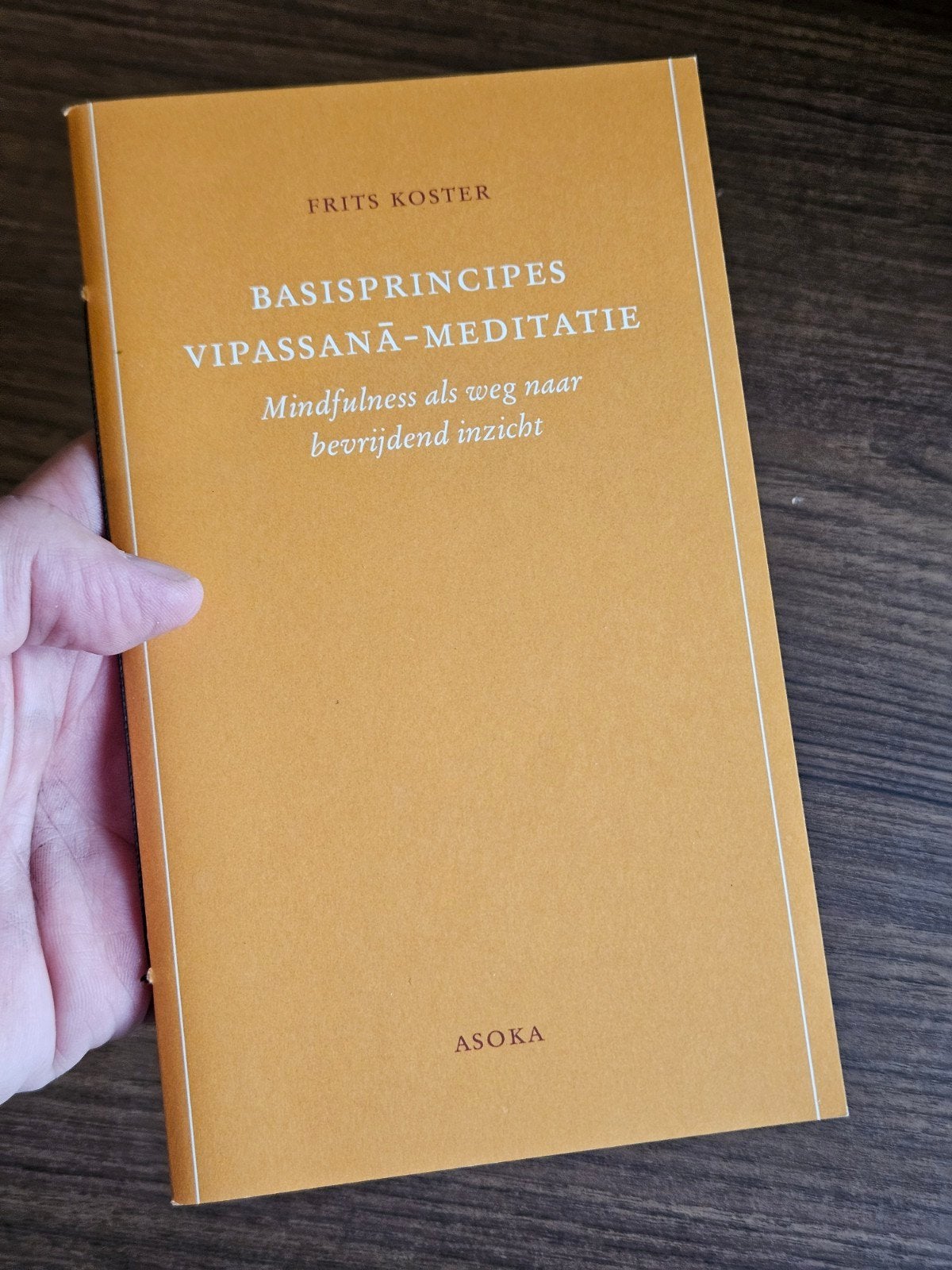 Frits Koster - Basisprincipes Vipassana-meditatie, Boeken, Verzenden, Frits Koster, Ontwikkelingspsychologie, Zo goed als nieuw