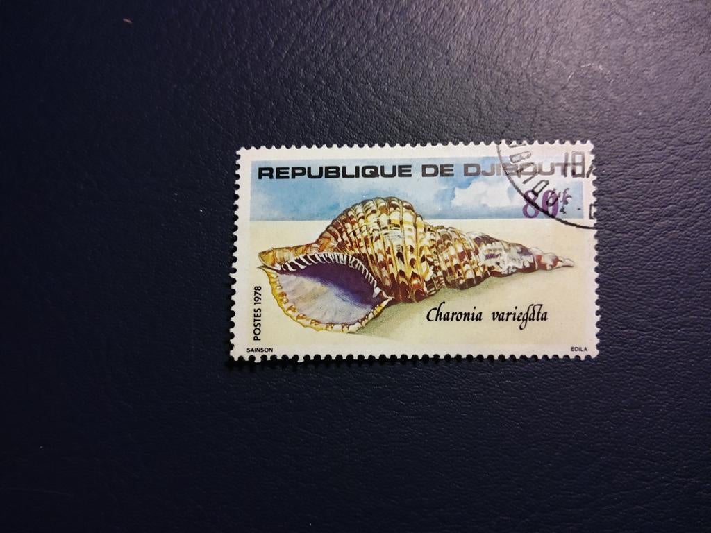 Postzegel Djibouti 1978 Charonia variegata, Ophalen of Verzenden, Gestempeld, Dier of Natuur