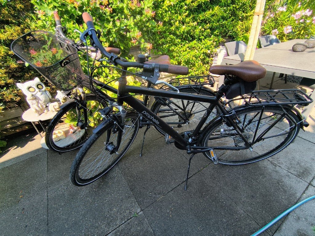 Twee Prophete Trekkingfietsen / Comfort 28 inch uit 2020, Fietsen en Brommers, 28 inch, Gebruikt, Vering, 57 tot 61 cm