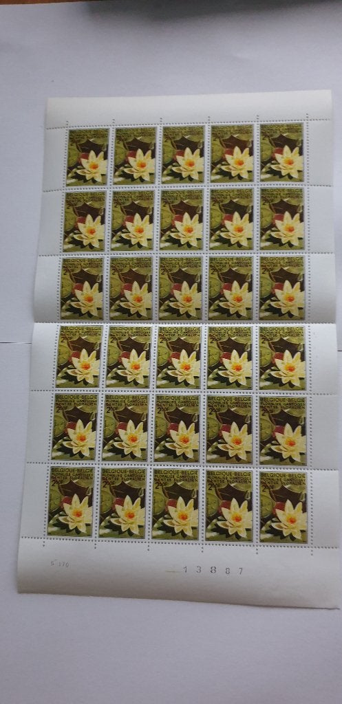 7220 belgie vel van 30 gentse floralien 1970 2f50, Verzenden