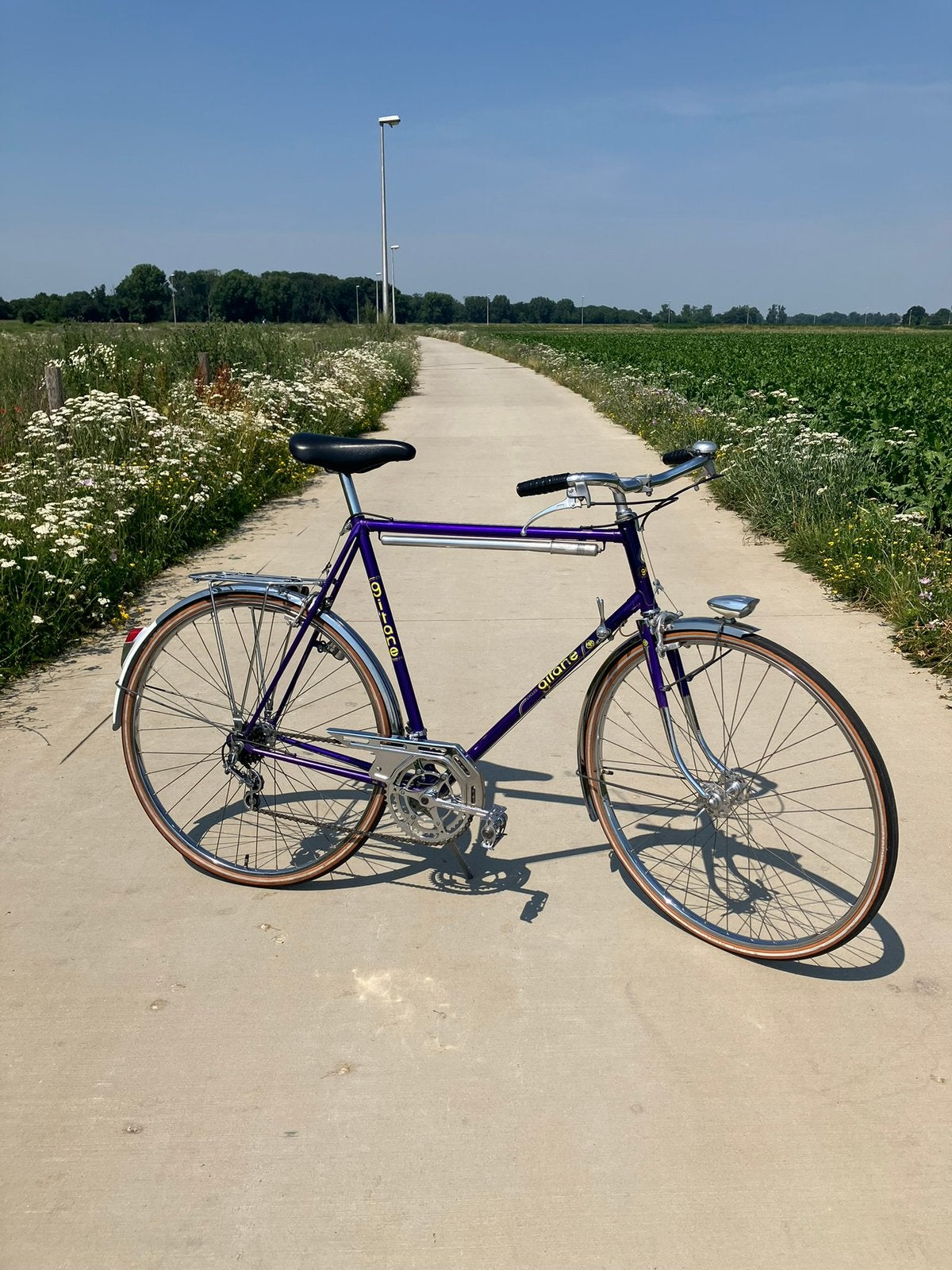 Gitane vintage sportfiets, 59 cm of meer, Ophalen, Velgrem, Jaren '60 of nieuwer