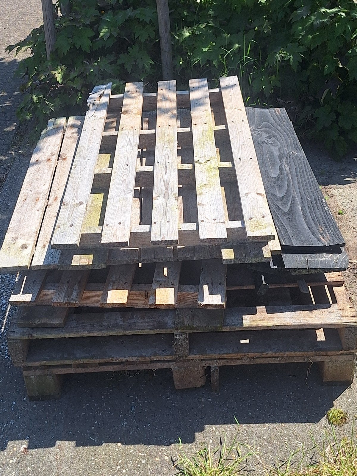 Gratis Pallet Hout, Minder dan 3 m³, Ophalen, Overige houtsoorten, Blokken