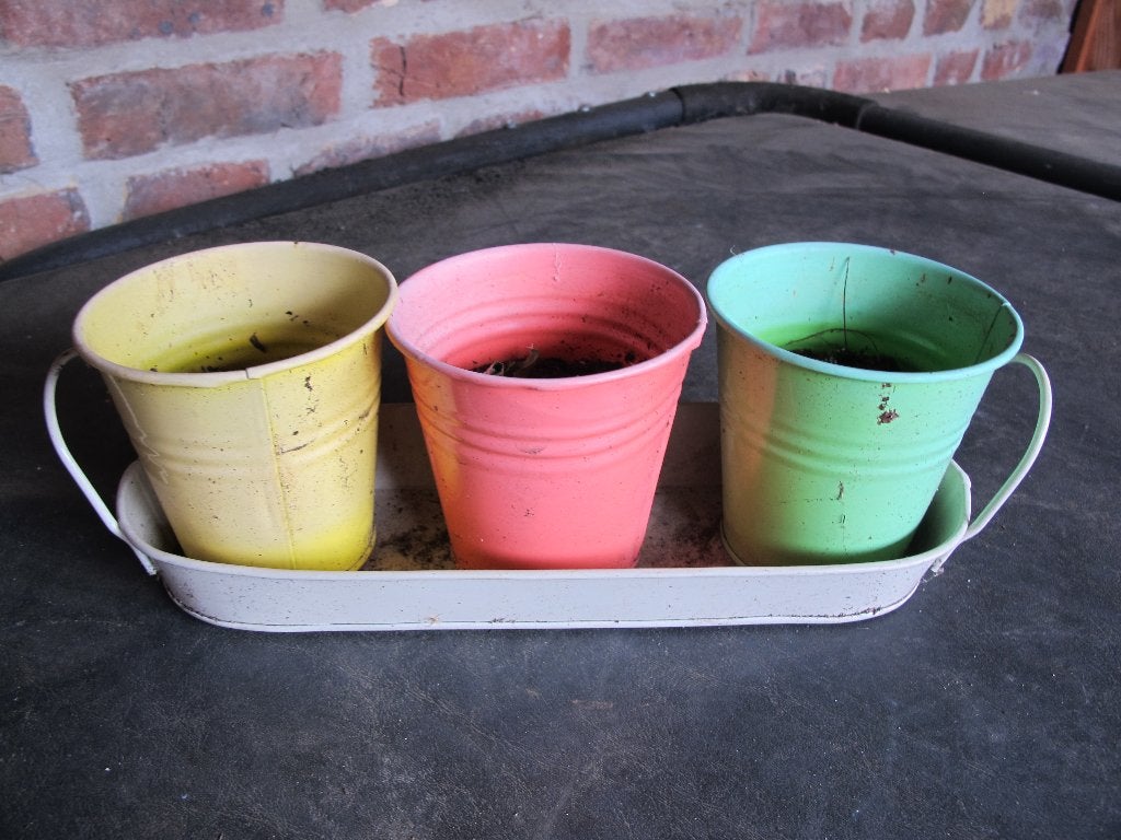 setje kleurige kruidenpotjes, Gebruikt, Minder dan 30 cm, Minder dan 60 cm, Rond