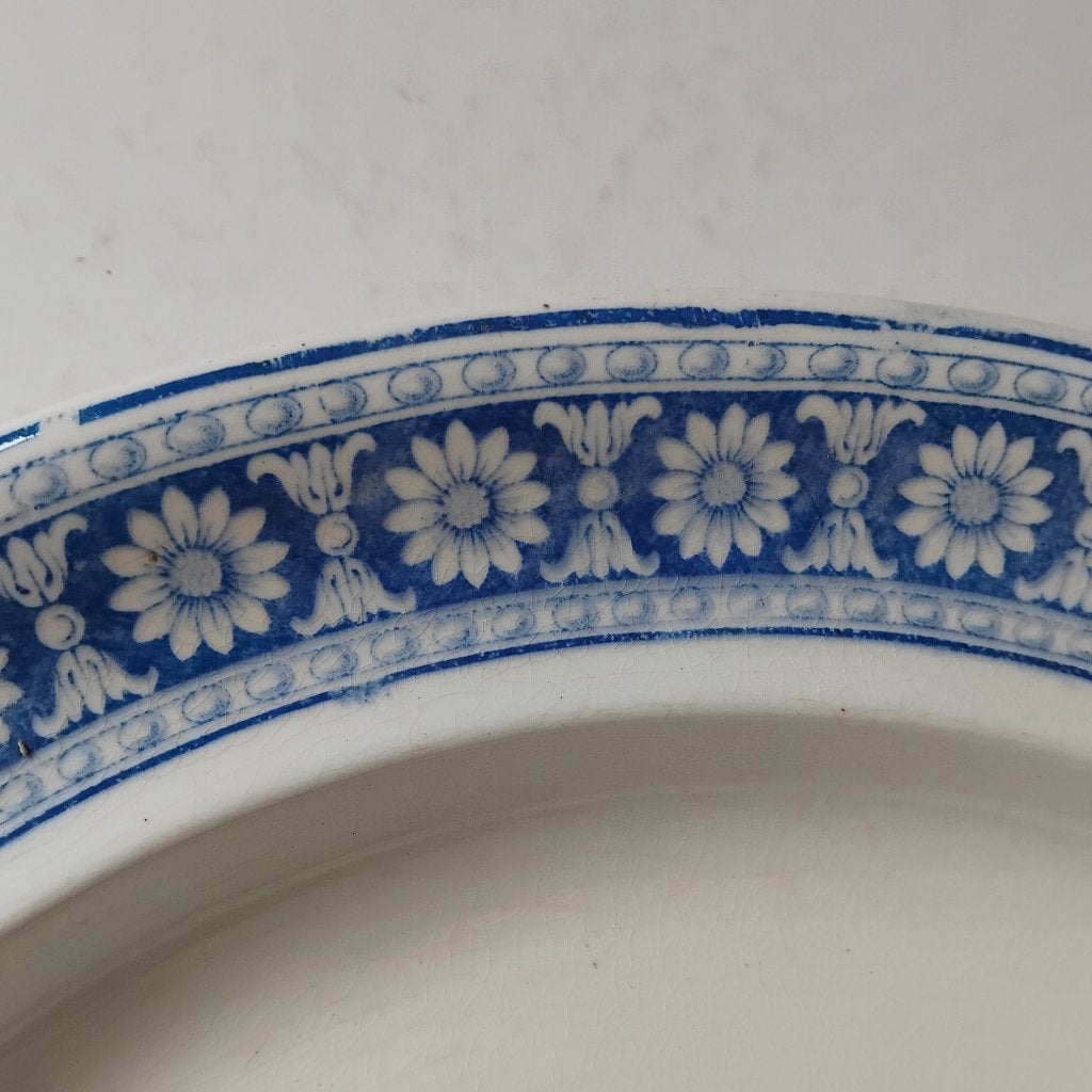 Enorme robuuste zware schaal, Wedgewood, marguerite, Ophalen of Verzenden