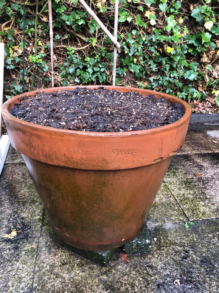 Groote  terracotta plantenpot, Ophalen, Gebruikt, Rond, Steen