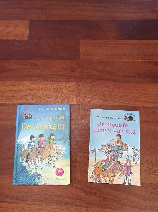 De Roskam van  Vivian den Hollander, Ophalen of Verzenden, Zo goed als nieuw, Fictie algemeen