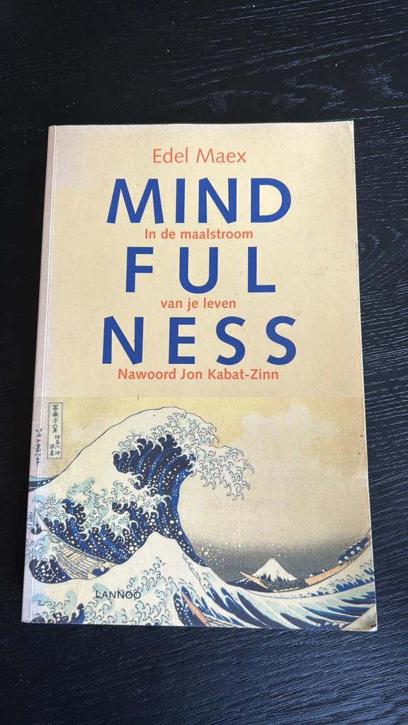 Edel Maex - Mindfulness, Boeken, Zo goed als nieuw, Instructieboek, Overige onderwerpen, Edel Maex
