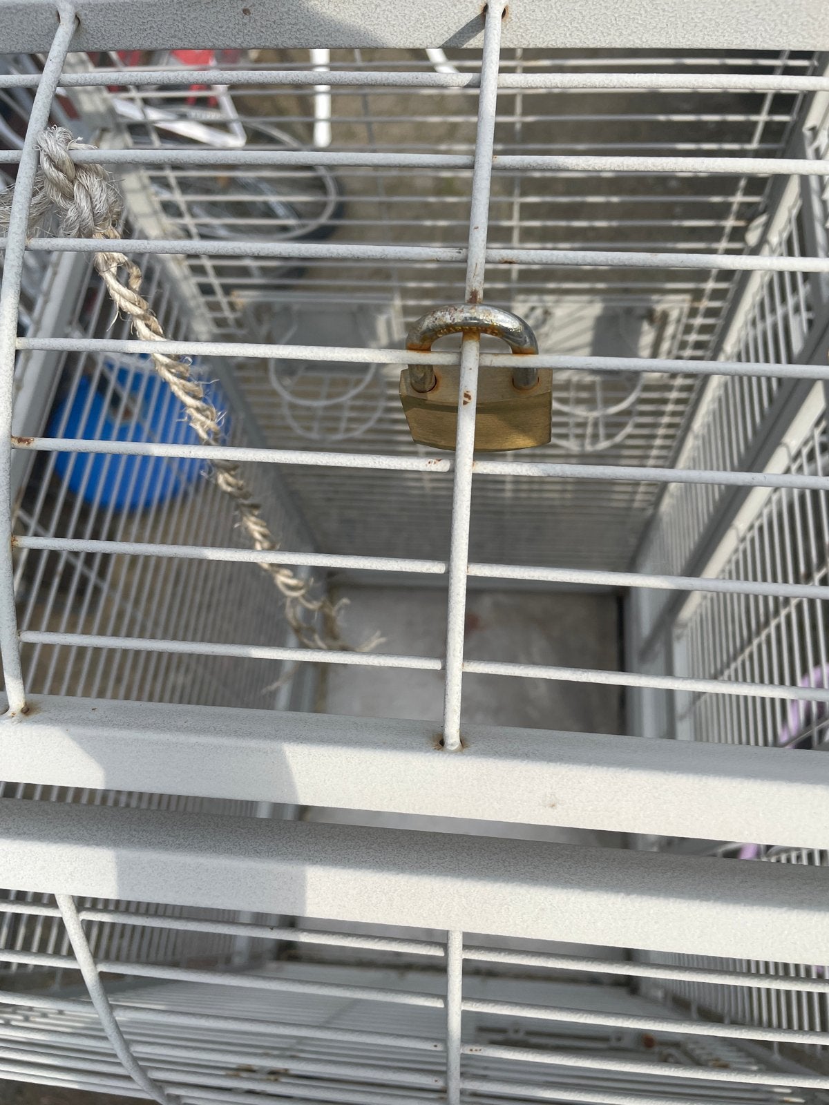 Metalen transportkooi / magazijnkooi op wielen, Ophalen, Metaal, Vogelkooi