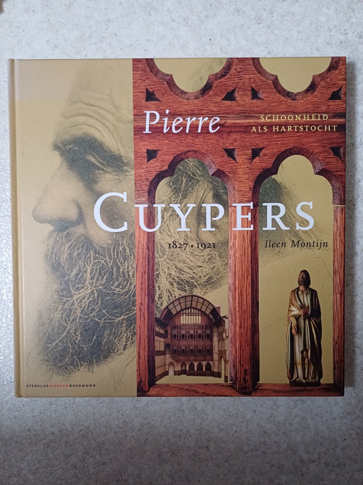 Pierre Cuypers: Schoonheid als Hartstocht - Ileen Montijn, Boeken, Ophalen of Verzenden, Zo goed als nieuw, Overige onderwerpen