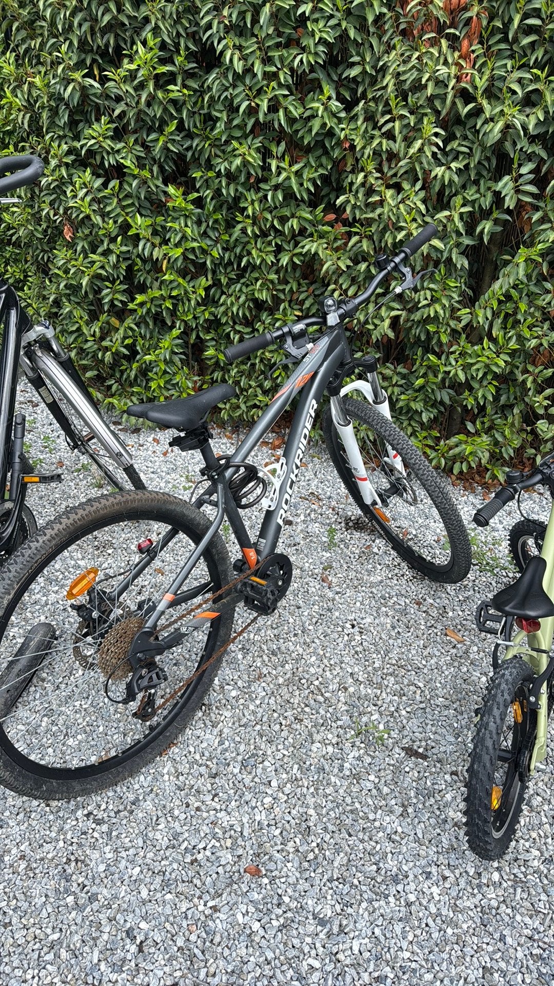 Mountain bikes, Ophalen of Verzenden, Overige merken