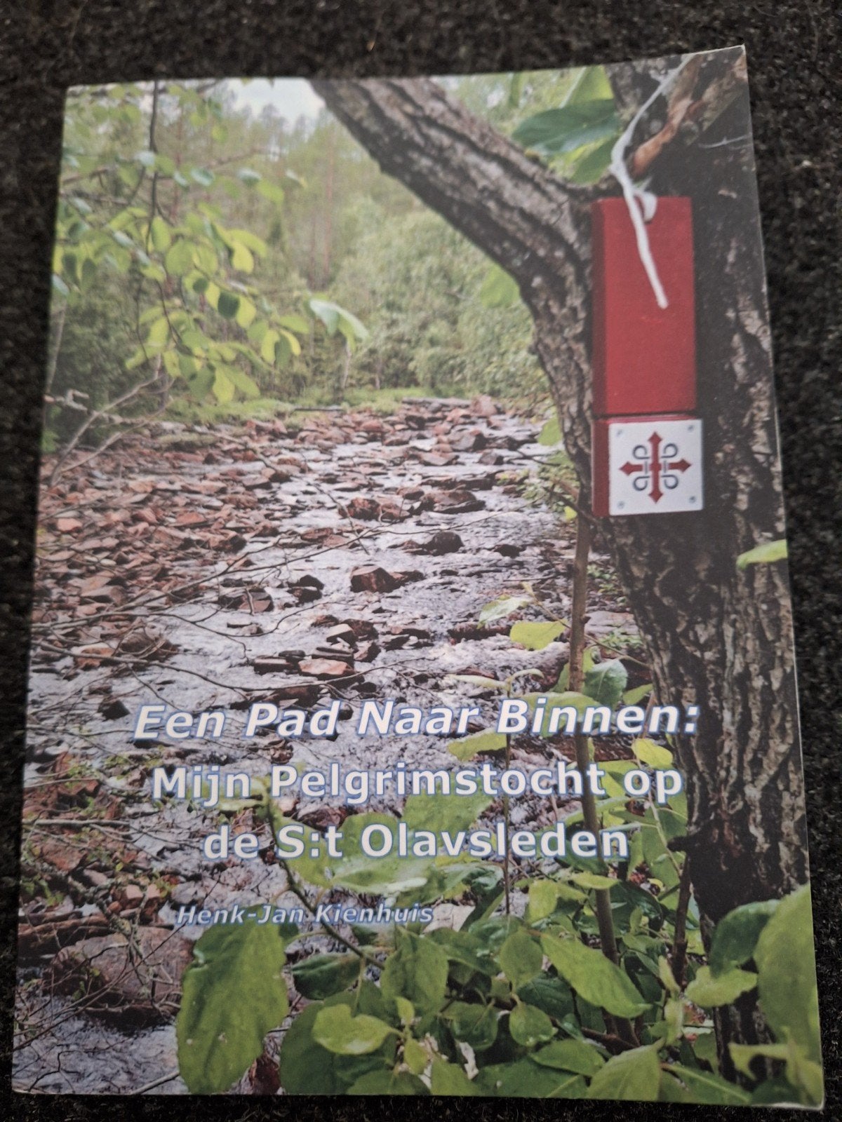 Een Pad Naar Binnen Mijn Pelgrimstocht op de S:t Olavsleden, Ophalen of Verzenden, Europa