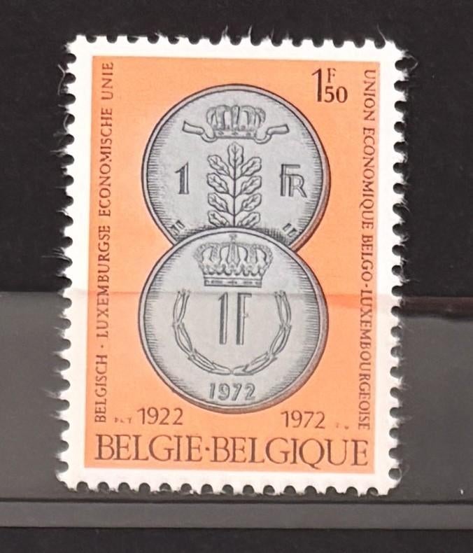België, Mi 1673, PF, Postzegels en Munten, Postzegels | Europa | België, Verzenden, Postfris