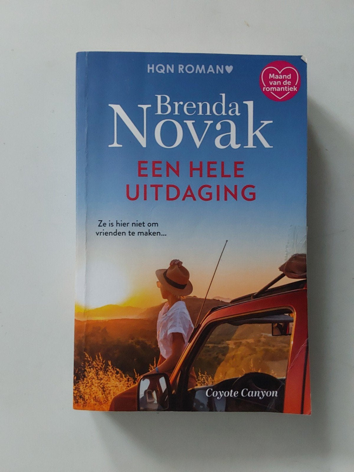 Brenda Novak : Een Hele Uitdaging, Brenda Novak, Ophalen of Verzenden, Zo goed als nieuw, Amerika