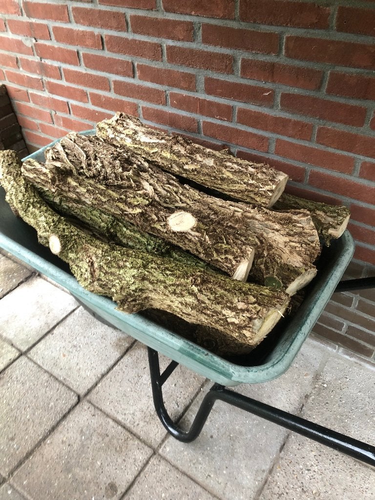haardhout hout van vlierboom, dikke kruiwagen vol, Tuin en Terras, Haardhout, Minder dan 3 m³, Ophalen