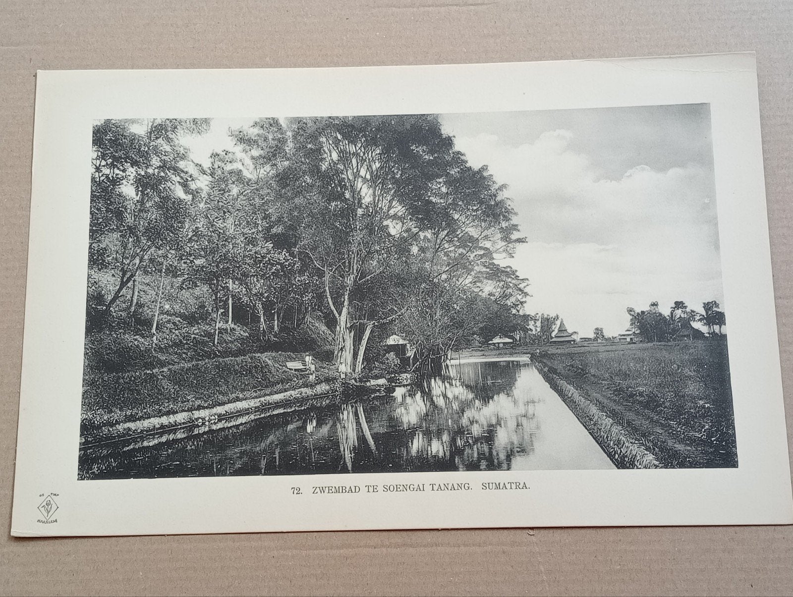 Fotogravure Zwembad Sumatra 1910 Nederlands Indië Indonesië, Verzamelen, Foto's en Prenten, Ophalen of Verzenden, Voor 1940, Gebruikt