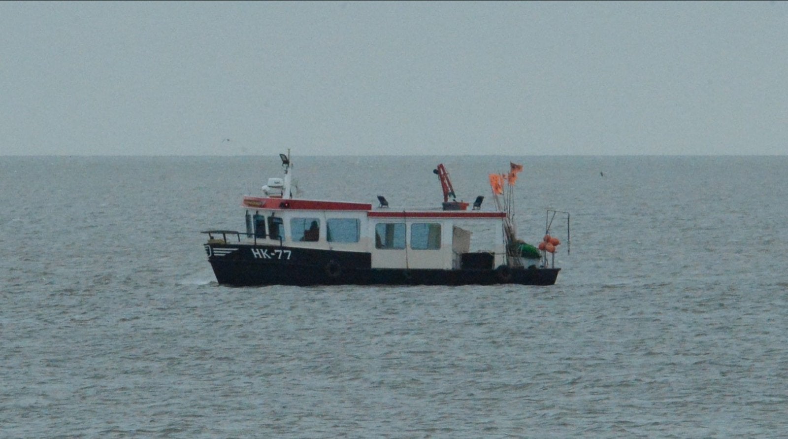 Robuuste ijsselmeer kotter. Met maar 70cm diepgang., Gebruikt, 100 tot 200 pk, Kotter, Diesel