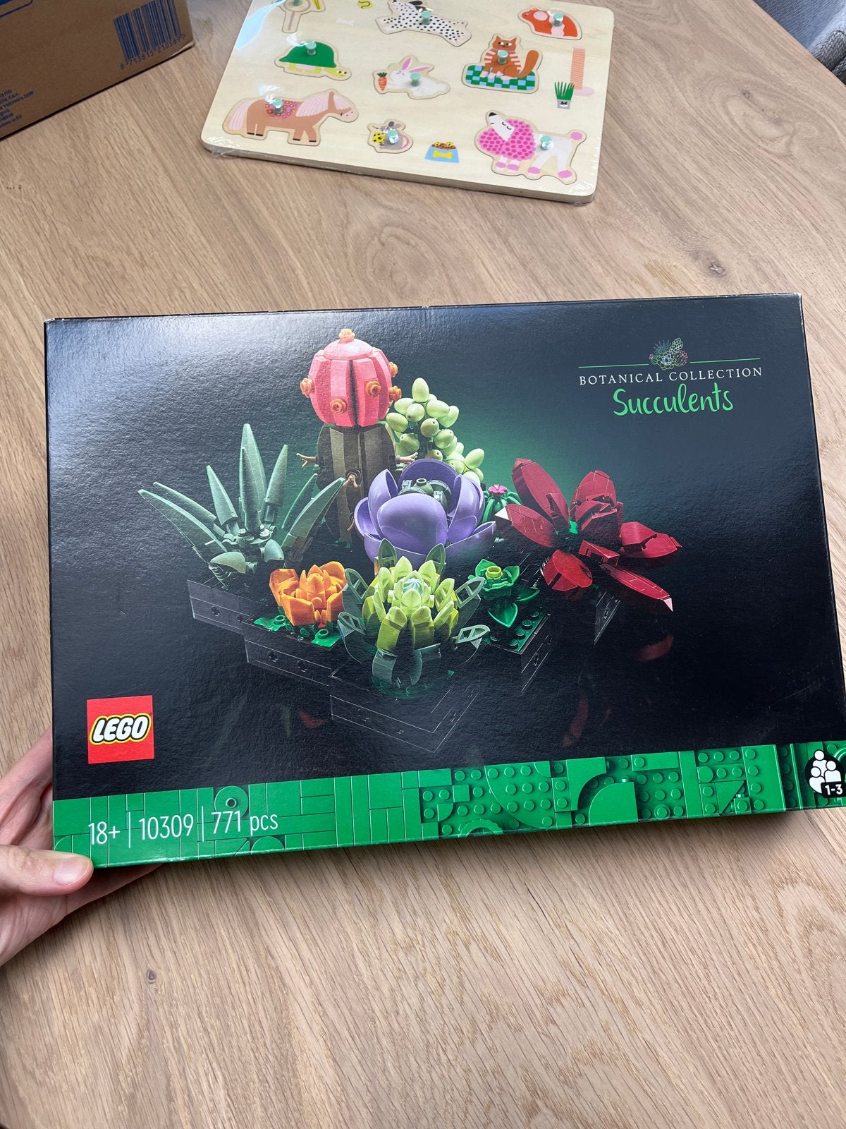 Nieuwe en ongeopende LEGO Succulenten (10309), Ophalen of Verzenden, Nieuw