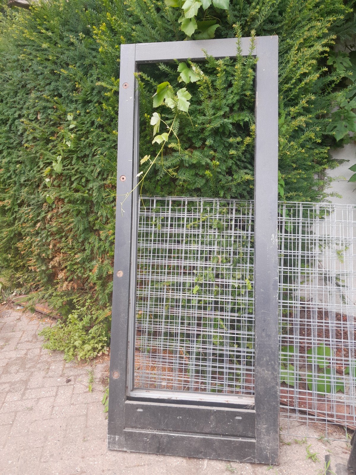 2 deuren met één smalle stijlen (9.5 cm en 11.5 cm), Ophalen, Gebruikt, Minder dan 80 cm, Buitendeur