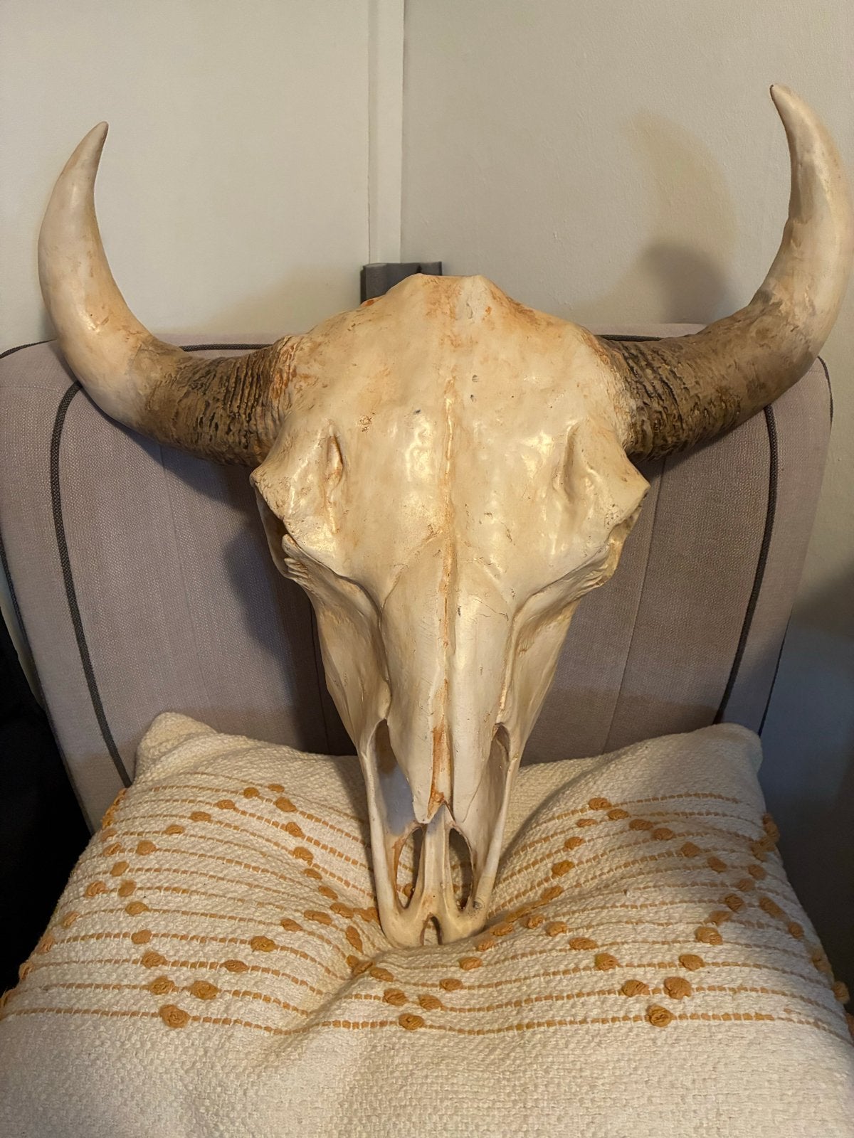 Decoratieve schedel met hoorns, Ophalen, Vintage, Beige, Kunststof