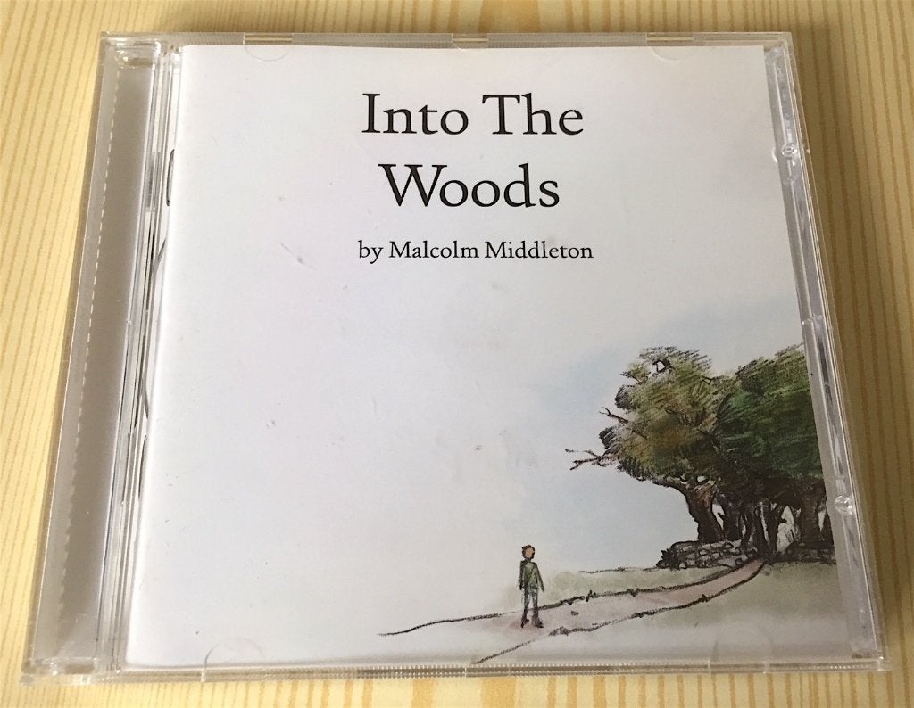 CD Malcolm Middleton (Arab Strap) - Into The Woods, Ophalen, Zo goed als nieuw, Singer-songwriter, Album