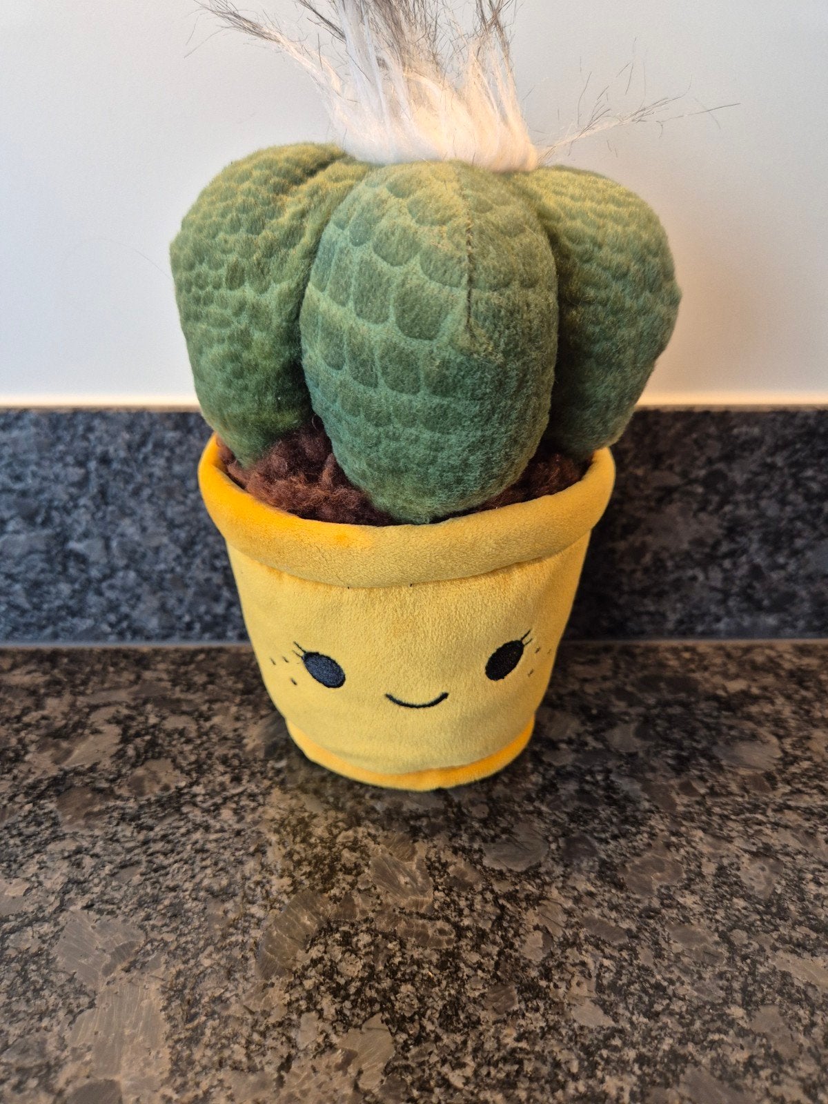 Take me Home - Knuffel Cactus, Ophalen of Verzenden, Overige typen