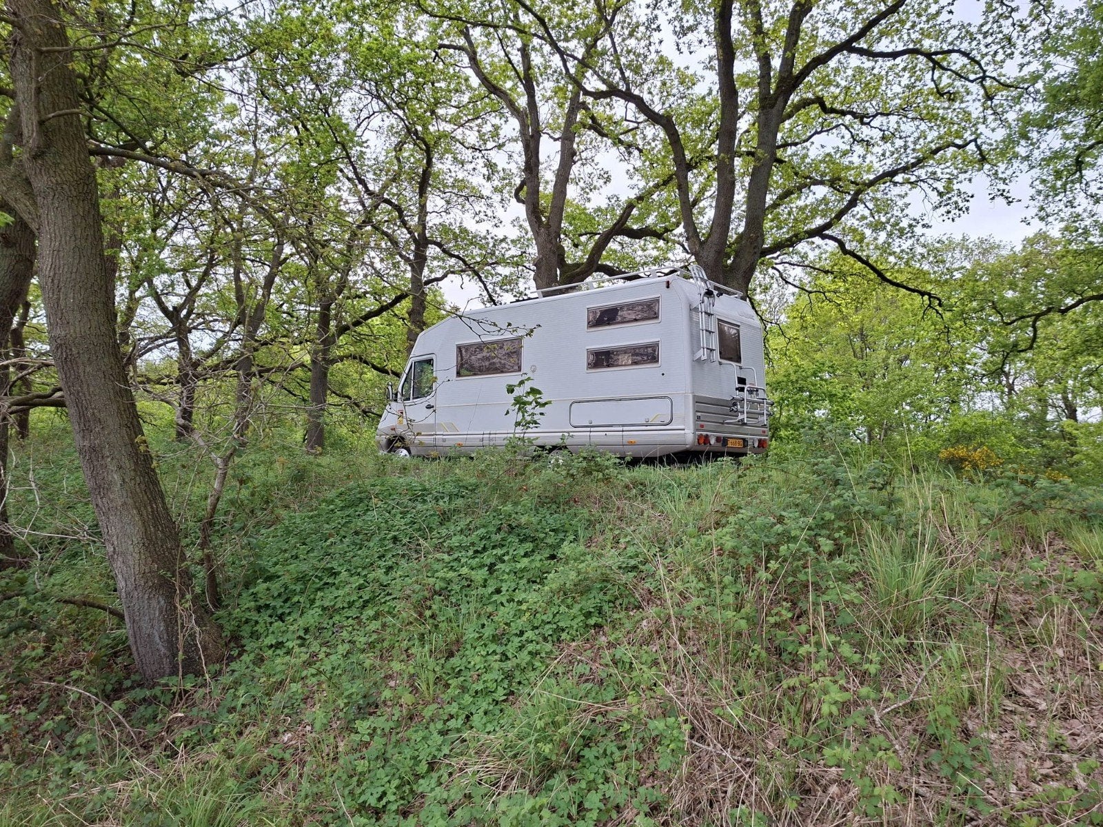 TLaika Ecovip 200i 7p | Nieuwe APK + distr. riem | stapelbed, Caravans en Kamperen, Particulier, Half-integraal
