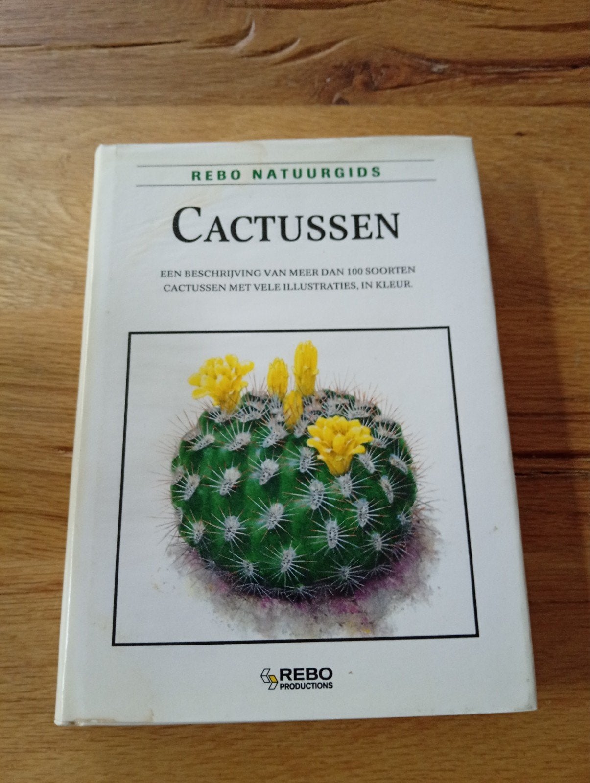 R. Slaba - Cactussen, Gelezen, R. Slaba, Ophalen of Verzenden