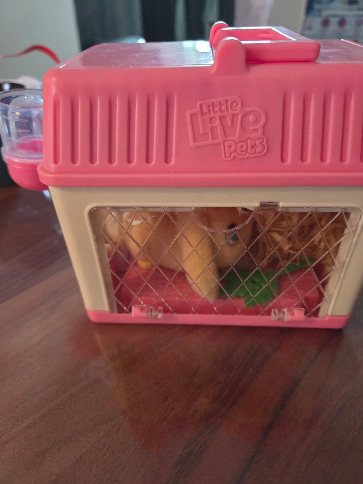 little live pets, Ophalen of Verzenden, Gebruikt