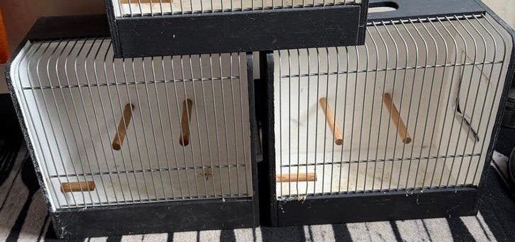 2 tentoonstelling kooitjes, Dieren en Toebehoren, Ophalen of Verzenden, Zo goed als nieuw, Hout, Vogelkooi