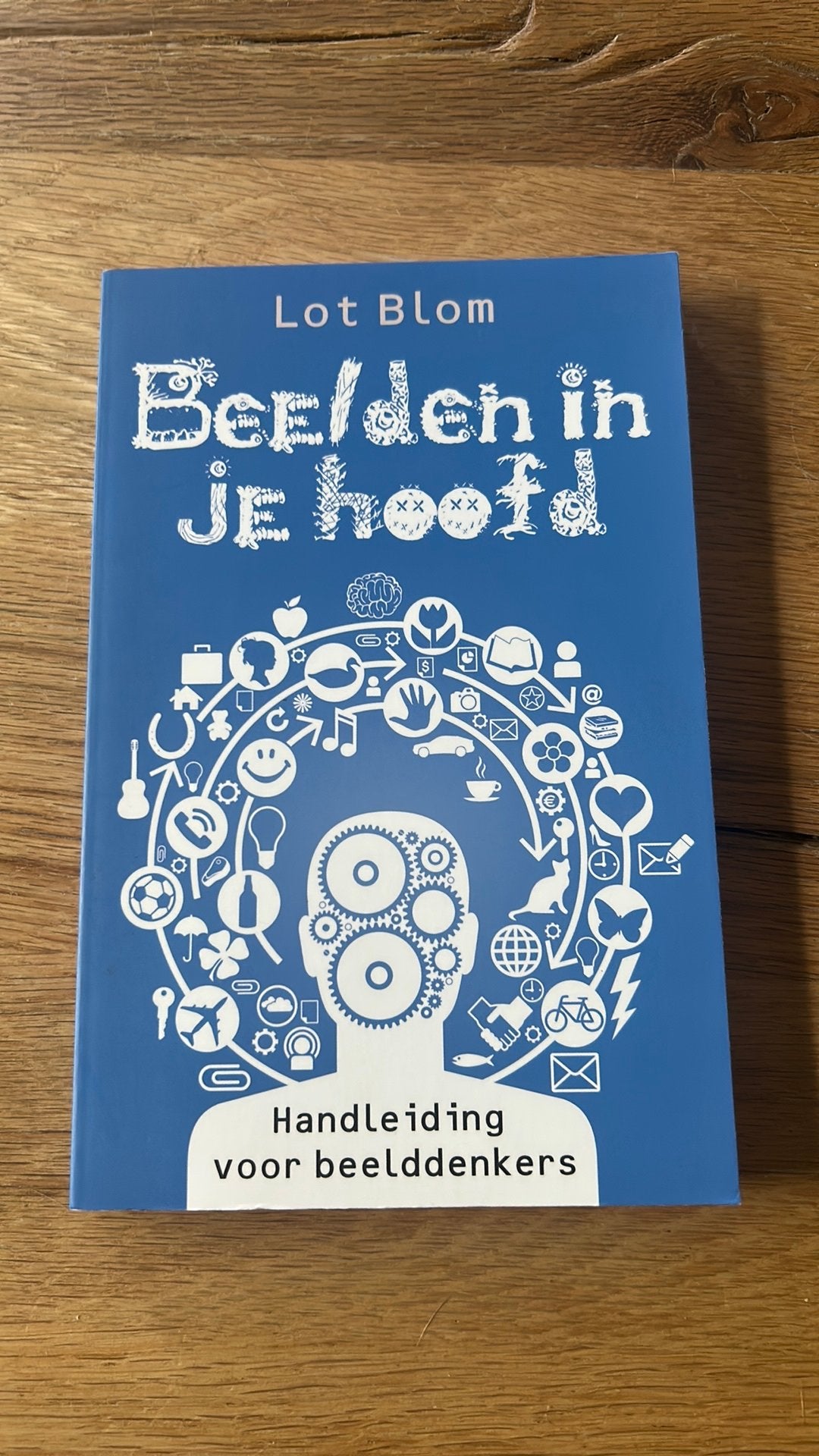 Lot Blom - Beelden in je hoofd, Achtergrond en Informatie, Ophalen of Verzenden, Zo goed als nieuw, Overige onderwerpen