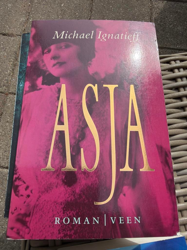HK.   Asja - Michael Ignatieff (Roman), Ophalen of Verzenden, Gelezen, Nederland