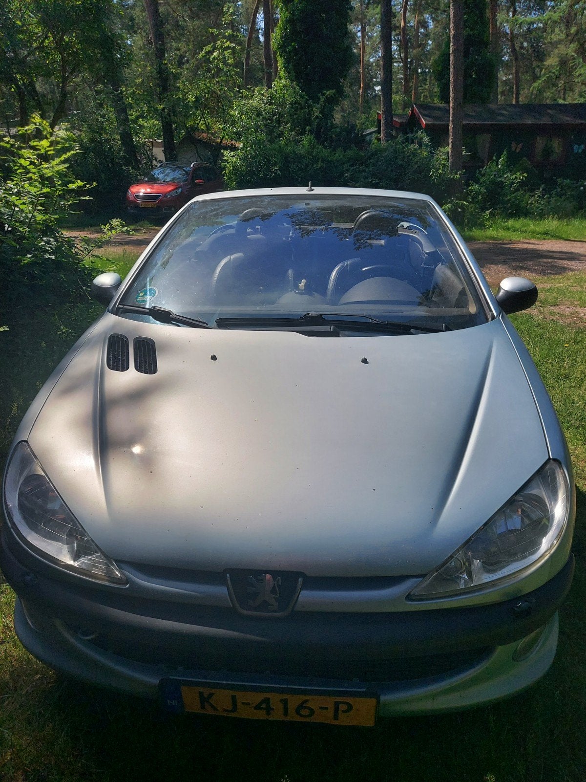 Peugeot cc 206 2 liter., 206+, Cabriolet, Leder, Particulier