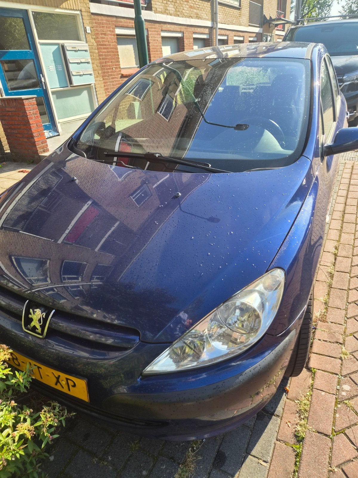 Peugeot 307 1.6 16V 5DRS 2002 Blauw, Ophalen of Verzenden, Peugeot